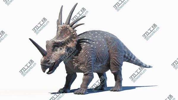images/goods_img/20210312/Styracosaurus model/4.jpg